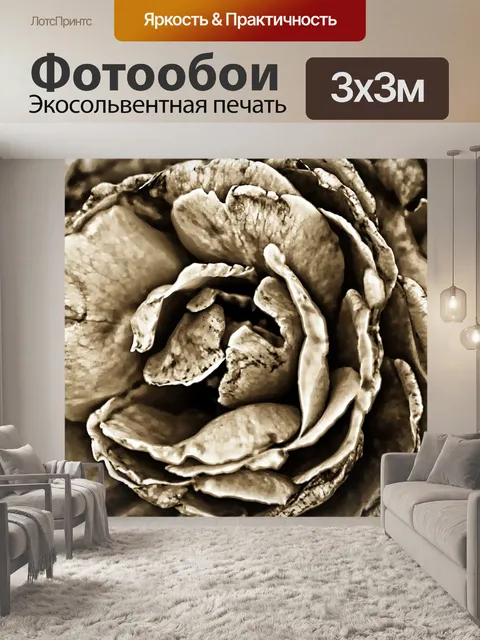 Фотообои роза