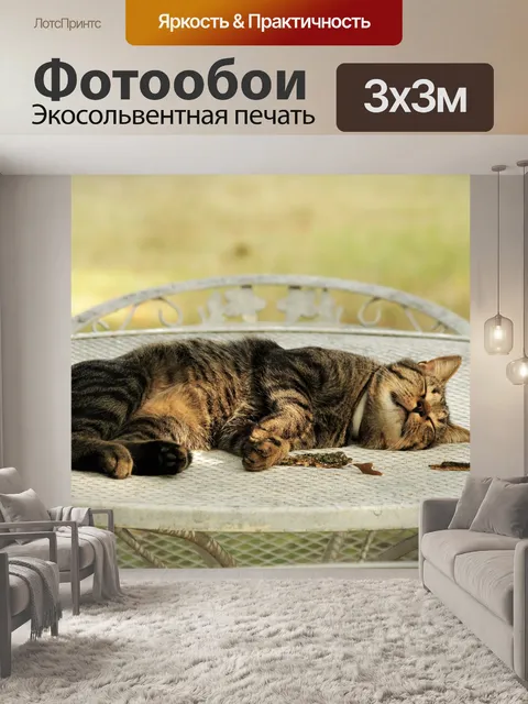 Фотообои Кошка спит на белом столе для пикника