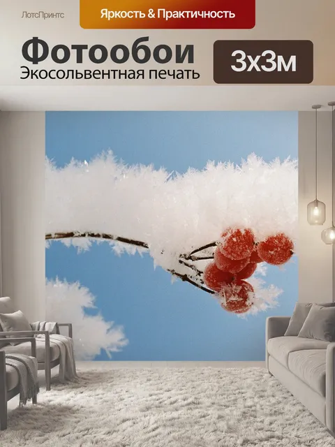 Фотообои Рябина