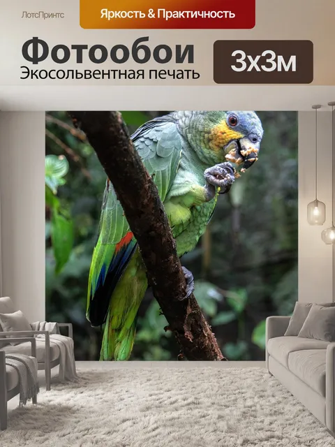 Фотообои Животное