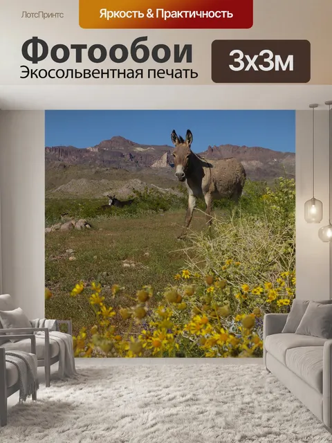 Фотообои Осел