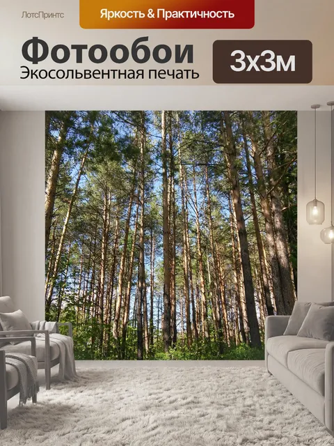 Фотообои Лес