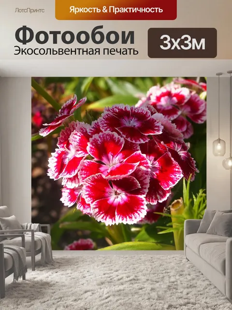 Фотообои Милая красавица