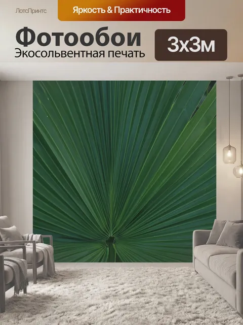 Фотообои Джунгли барабана лист