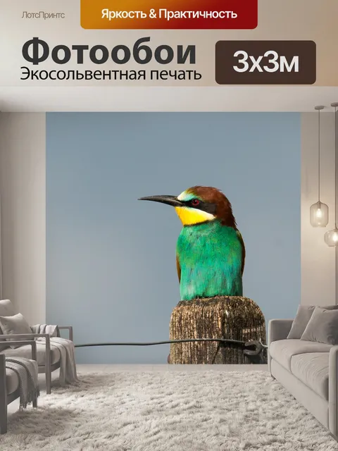 Фотообои Золотистая щурка