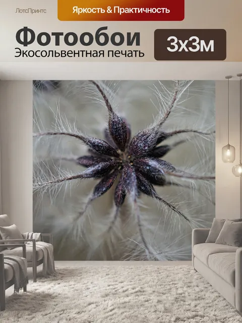 Фотообои Макрос