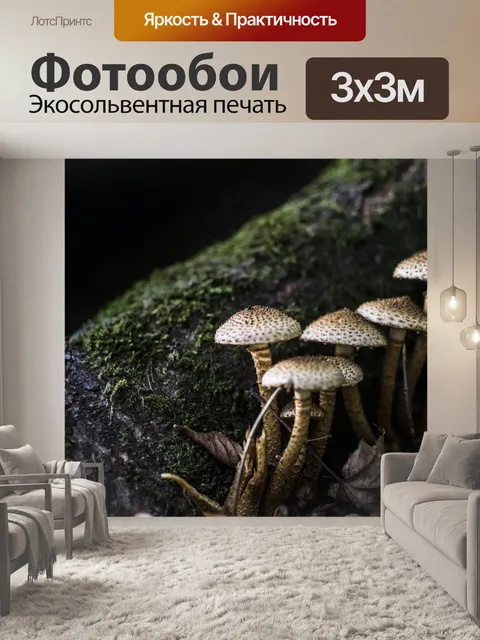 Фотообои Грибы