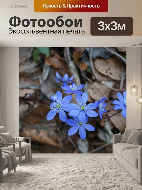 Фотообои Печеночник