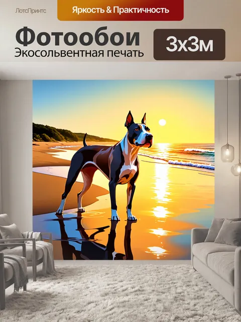 Фотообои бультерьер, стоящий на берегу моря во время заката, в ярких теплых тонах