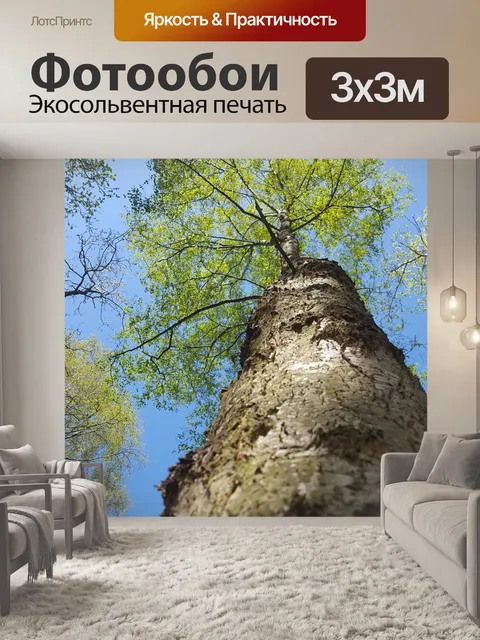 Фотообои Дерево