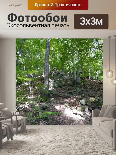 Фотообои Лес