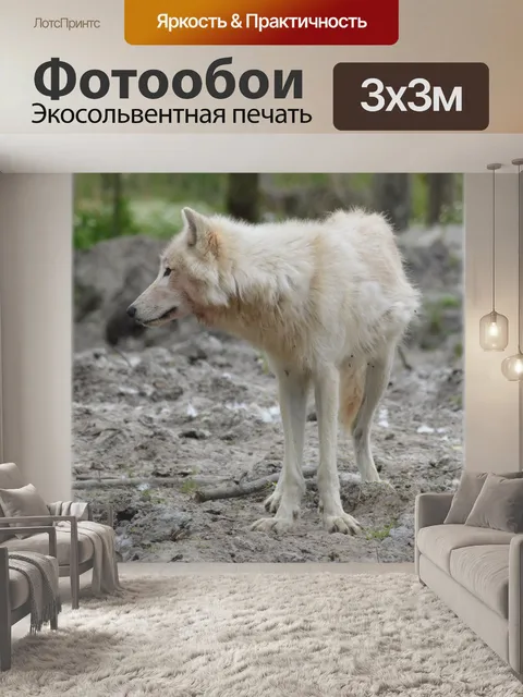 Фотообои Волк 04