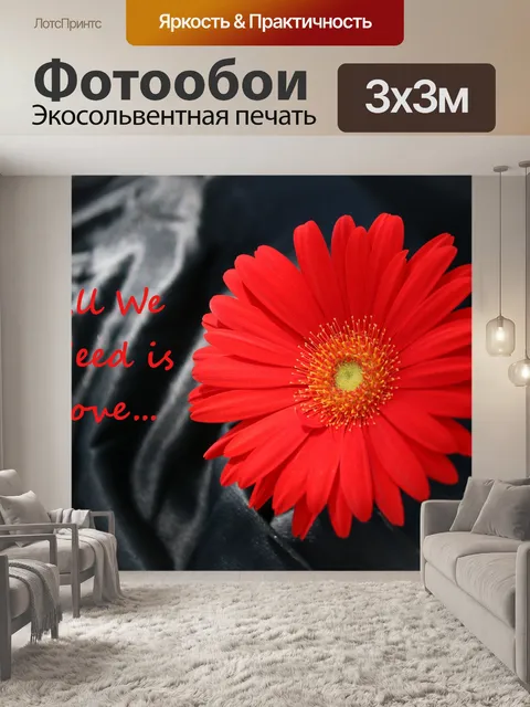 Фотообои Красный Гербер Дейзи на черной атласе