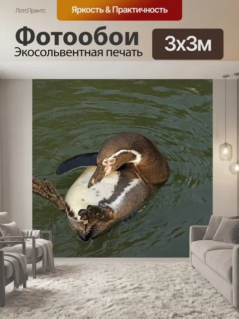 Фотообои Пингвин