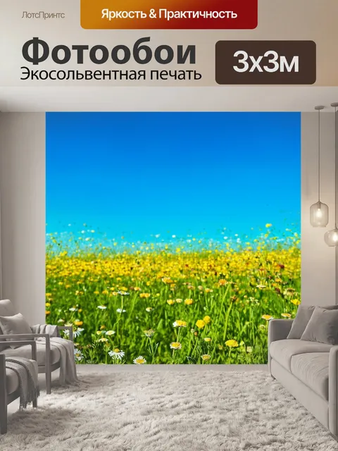 Фотообои поле с цветами под чистым голубым небом