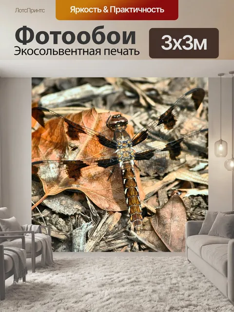 Фотообои Коричневая стрекоза