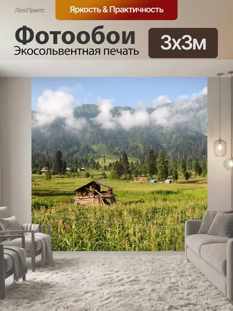 Фотообои Утро
