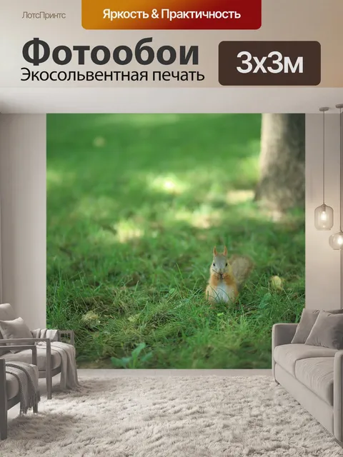 Фотообои Белка