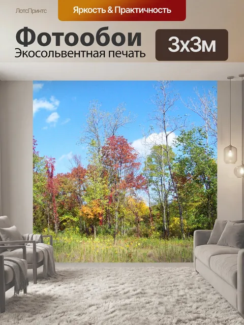 Фотообои Осенние деревья