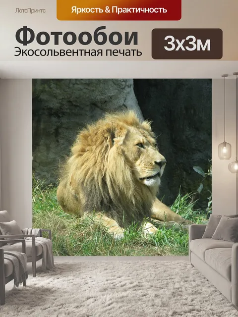 Фотообои Лев