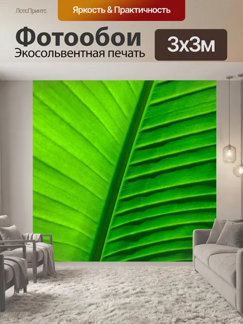 Фотообои Деталь листьев пальмы