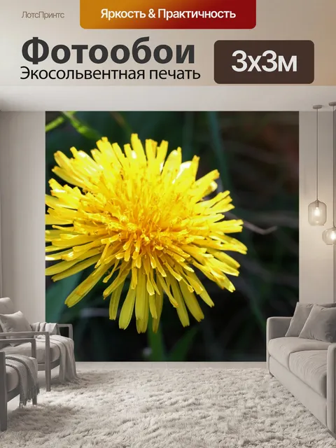 Фотообои Ярко-желтый цветок одуванчика