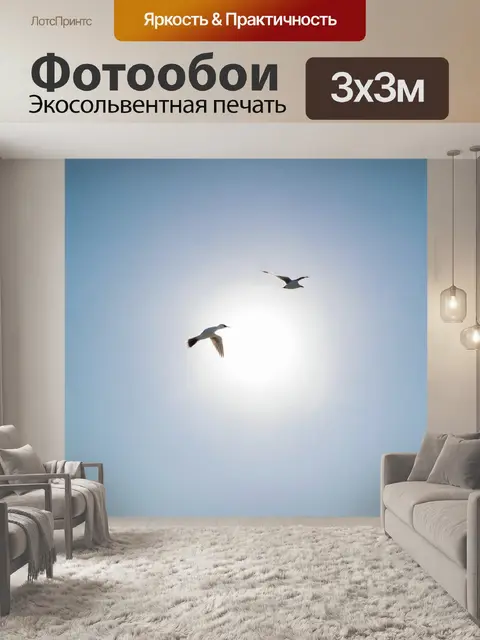 Фотообои птицы, летающие в ясном голубом небе с солнцем