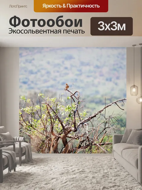 Фотообои рыжий жаворонок на кусте