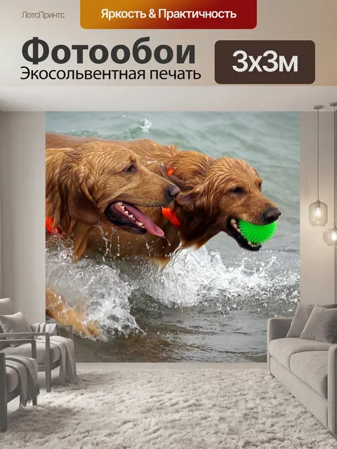 Фотообои Собаки