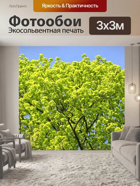 Фотообои Дерево