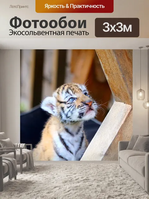 Фотообои Тигр