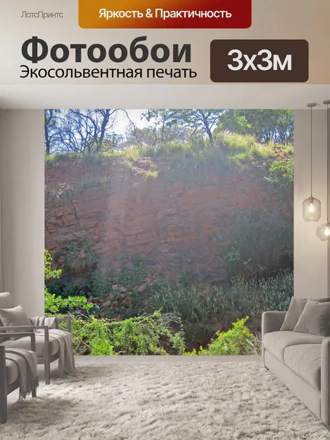 Фотообои ранний утренний светлый свет
