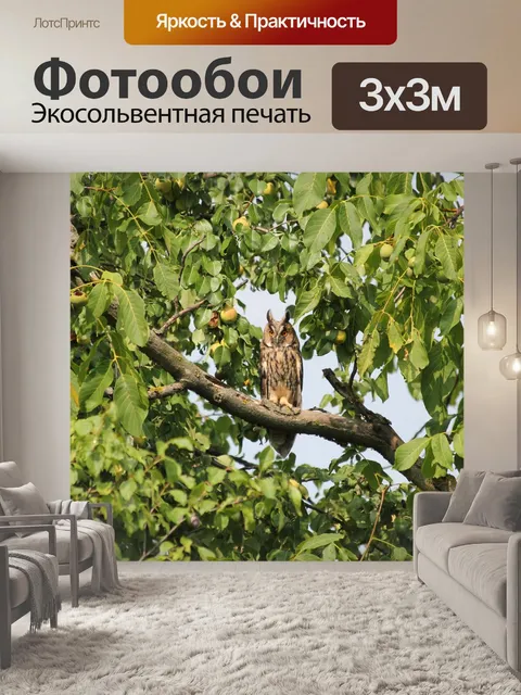 Фотообои Природа
