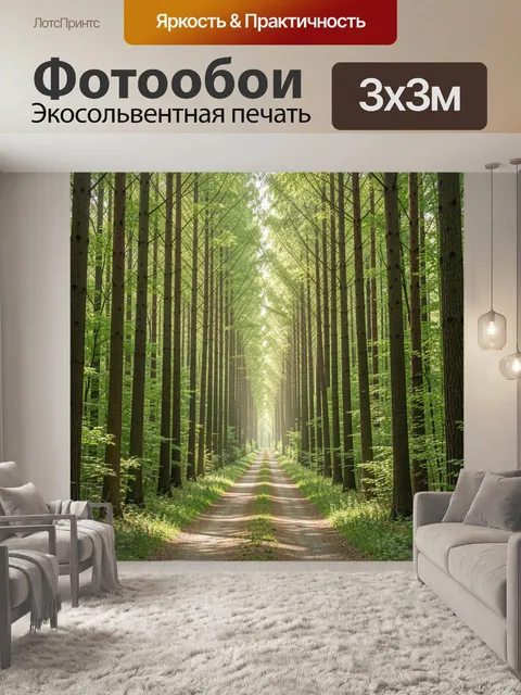 Фотообои Аллея высоких деревьев в лесу
