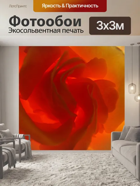Фотообои Роуз