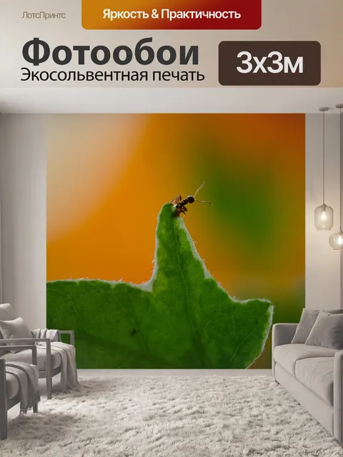 Фотообои Муравей