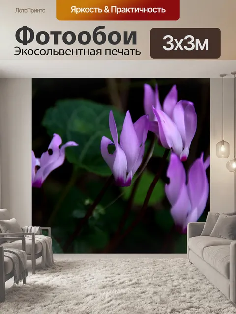 Фотообои Маленькие цветы цикламена в лесу