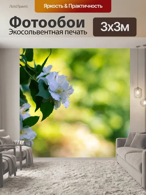 Фотообои Роза