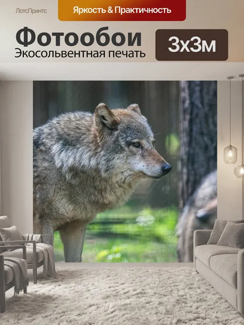 Фотообои Волк