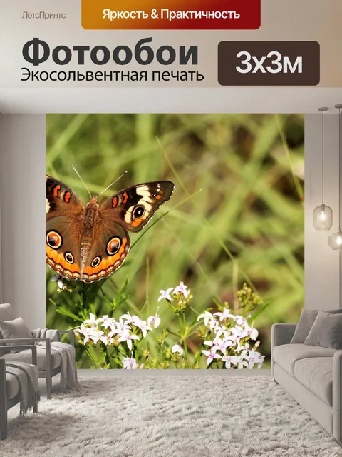 Фотообои Фон бабочки монарха