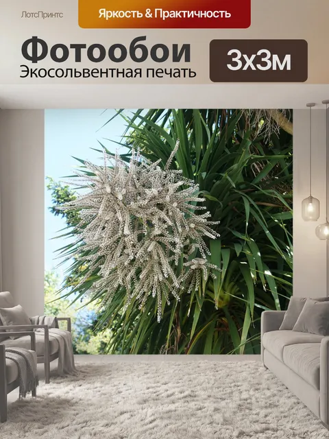 Фотообои Финиковая пальма в цветке