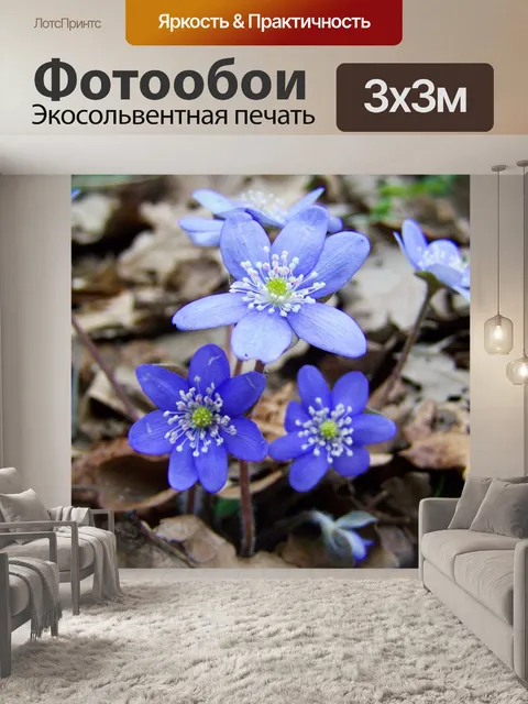 Фотообои Цветок печени