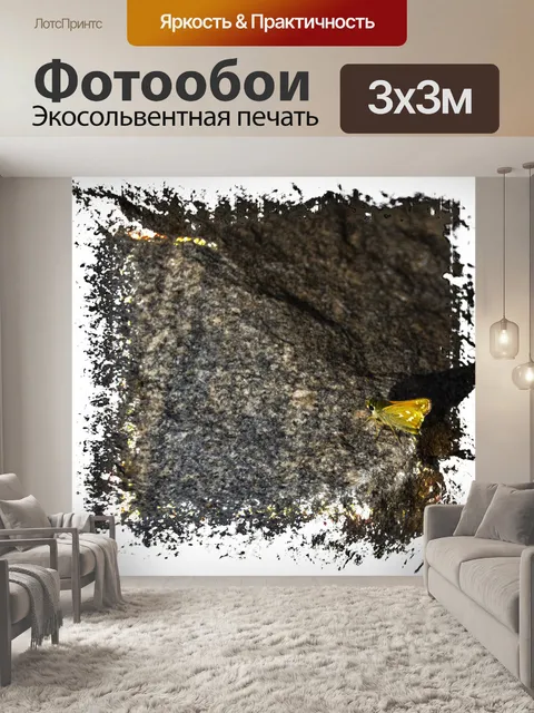 Фотообои бабочка на скале