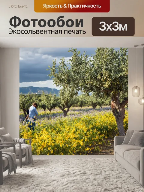 Фотообои прованс: идиллическая сцена