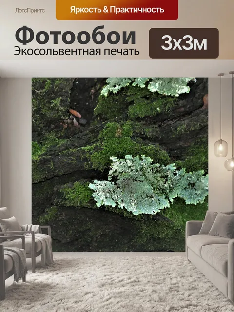 Фотообои Мосс и лишайники крупным планом