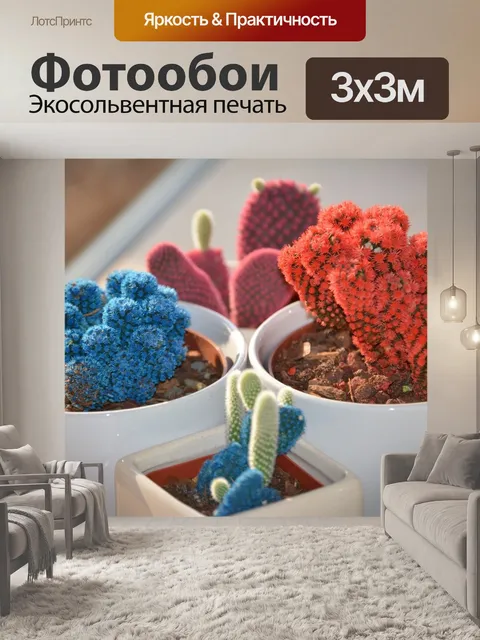Фотообои Кактус