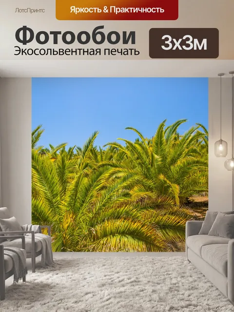 Фотообои Пальмы и голубое небо