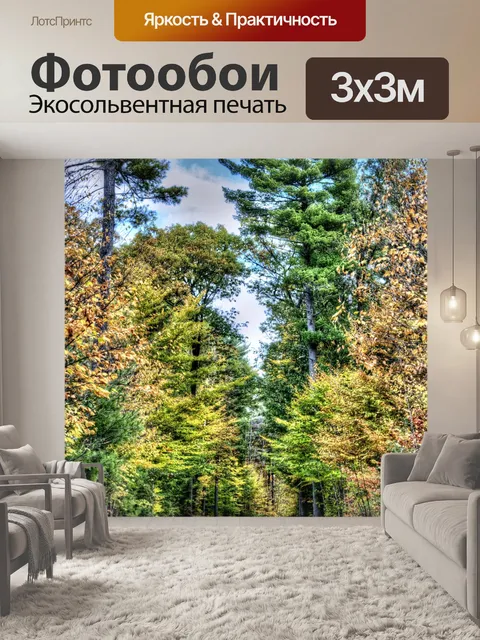 Фотообои Осенний путь
