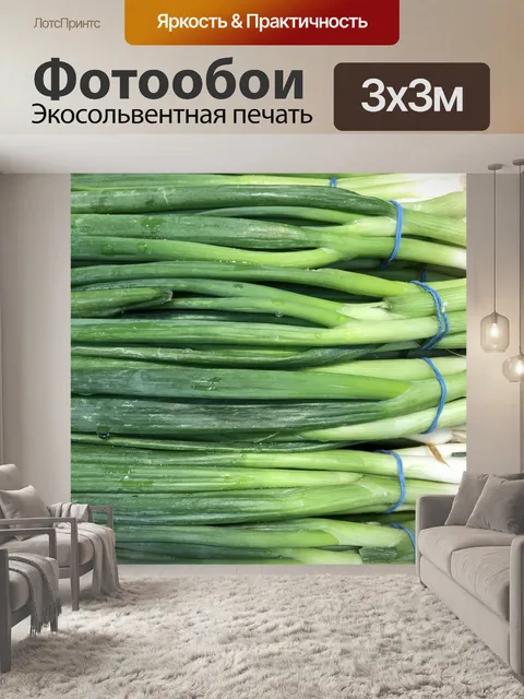 Фотообои Зеленый лук