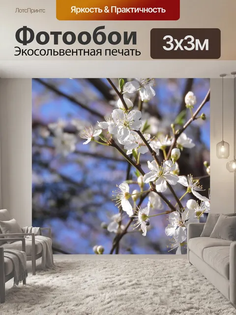 Фотообои Белые цветы